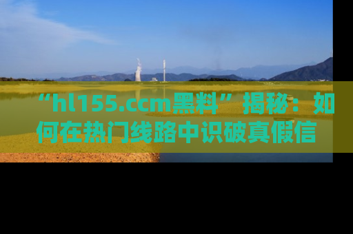 “hl155.ccm黑料”揭秘:如何在热门线路中识破真假信息