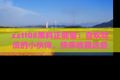zztt08黑料正能量：喜欢吃瓜的小伙伴，快来收藏这些优质资源！