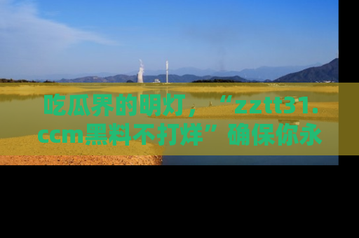 吃瓜界的明灯，“zztt31.ccm黑料不打烊”确保你永不迷路！