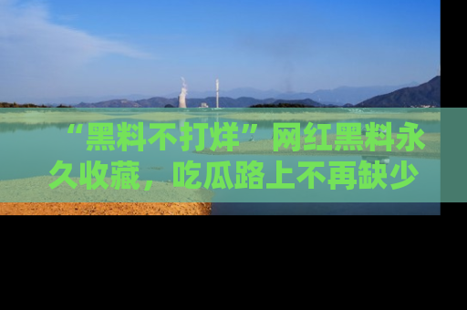 “黑料不打烊”网红黑料永久收藏，吃瓜路上不再缺少惊喜与乐趣