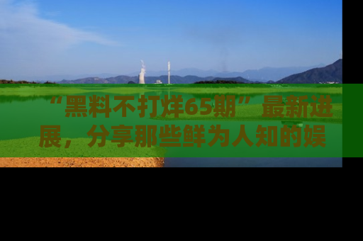 “黑料不打烊65期”最新进展，分享那些鲜为人知的娱乐八卦