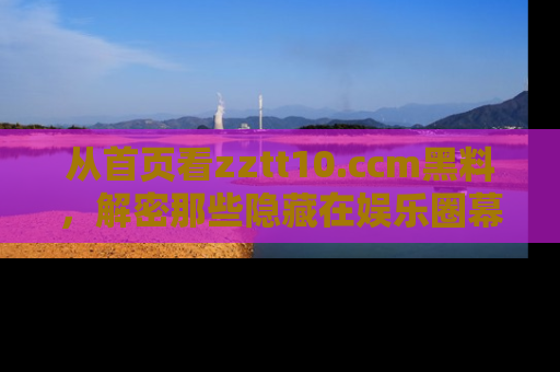 从首页看zztt10.ccm黑料，解密那些隐藏在娱乐圈幕后的丑闻故事！