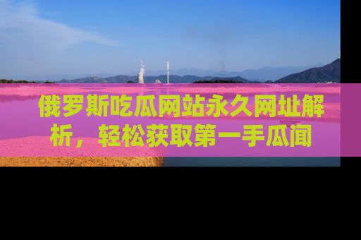 俄罗斯吃瓜网站永久网址解析，轻松获取第一手瓜闻
