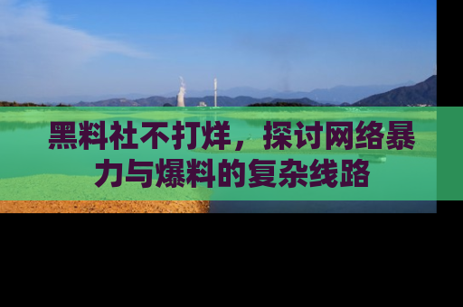 黑料社不打烊，探讨网络暴力与爆料的复杂线路