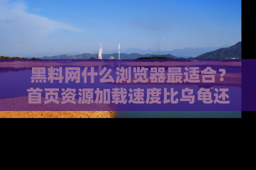 黑料网什么浏览器最适合？首页资源加载速度比乌龟还慢的体验真心吐槽！