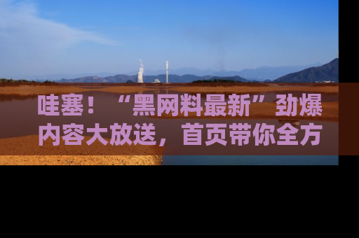 哇塞!“黑网料最新”劲爆内容大放送,首页带你全方位了解哦,小可爱们