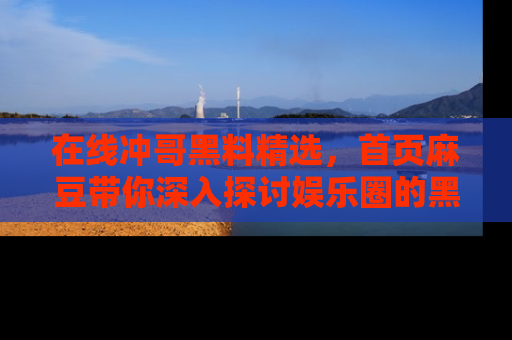 在线冲哥黑料精选,首页麻豆带你深入探讨娱乐圈的黑暗面